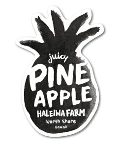 nCnbs[}[Pbg XebJ[ pCibv ubN HHM094  nC HAWAII CXg m[XVA ObY