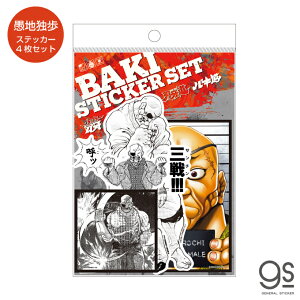 Obv[n nƕ XebJ[Zbg 4 oL LN^[XebJ[  Aj i nŋ n哹 TN`sI b lC BAKI045 gs ObY