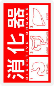 XebJ[ NM255 SHOKAKI ~jXebJ[ X}z fR  ObY