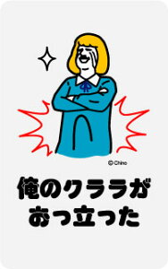 cC[gXebJ[ TN11 ̃N  l^ CXg ObY