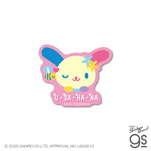 ETni _CJbg~jXebJ[ EBN TI sanrio  lC 蒠 X}z v[g LN^[ gs ObY SAN254