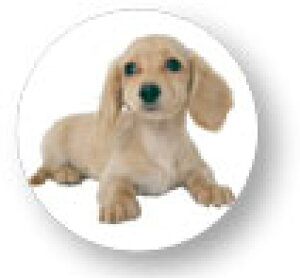 Aj}ʃobW CBAN013 ~j`A_bNXth  obW ob` ANZT[ ObY