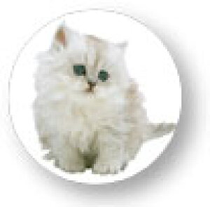 Aj}ʃobW CBAN015 yVL  obW ob` ANZT[ ObY