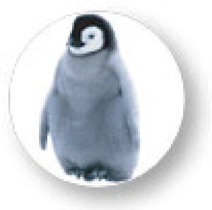 Aj}ʃobW CBAN017 yM  obW ob` ANZT[ ObY