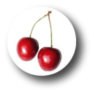 K[[ʃobW CBGI010 `F[  킢 fUC obW ob` fR