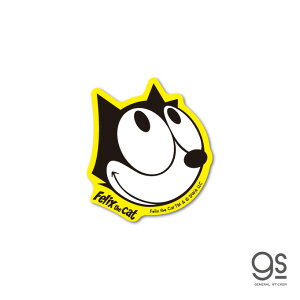 FELIX _CJbg~jXebJ[ FACE  jo[T LN^[XebJ[ L Cat tBbNXEUELbg CXg gs ObY FLX-010