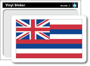 SK201 BXebJ[ nCB Hawaii  tbO CO s ڈ X[cP[X ObY