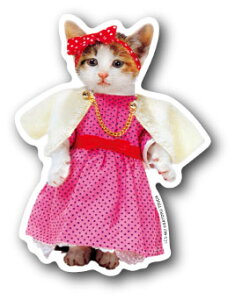 ȂߔL _CJbgXebJ[ hX LCS442 XebJ[ a g 80N ˂  ȂߔLObY