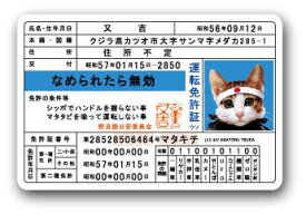 楽天市場 なめ猫 免許証の通販