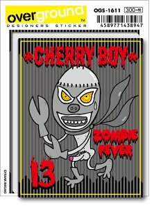 OGS1611 tNȂ fBeB A[eBXgObY CXg[^[ XebJ[