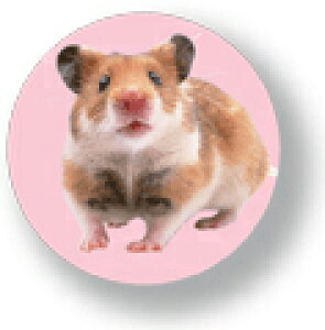Aj}ʃobW CBAN005 Hamster nX^[  obW ob` ANZT[ ObY