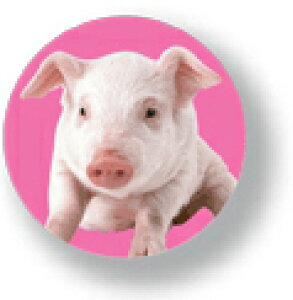 Aj}ʃobW CBAN006 Pig Ԃ  obW ob` ANZT[ ObY