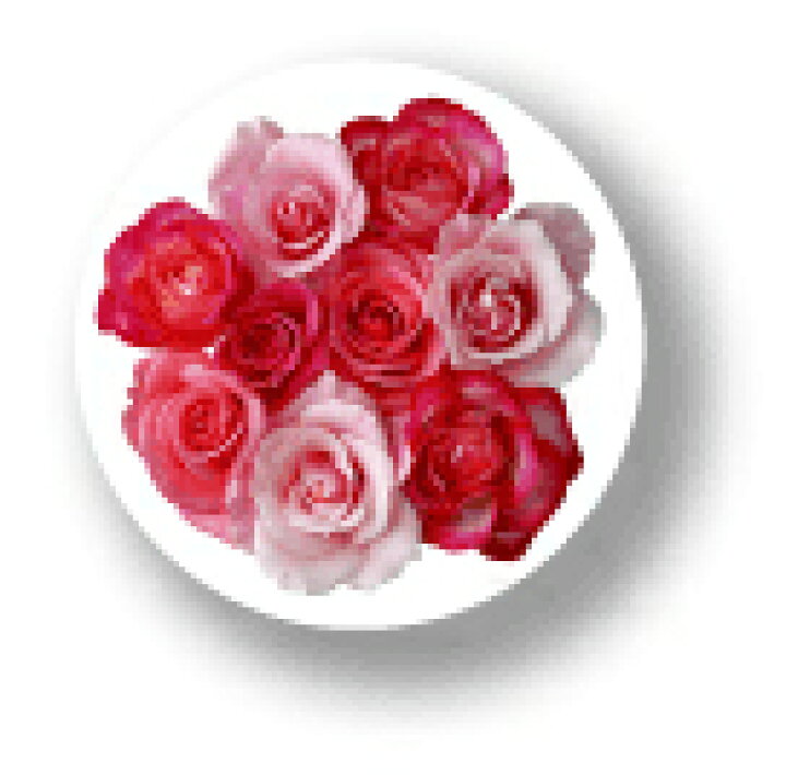 楽天市場】フラワー缶バッジ CBFL012 Bouquet Of Roses バラブーケ 花 