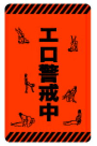 XebJ[ NM313 ERO KEIKAI ~jXebJ[ X}z fR  ObY