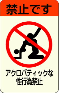 XebJ[ NM320 ACROBATIC KINSHI ~jXebJ[ X}z fR  ObY