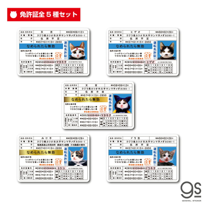 楽天市場 全5種セット なめ猫 免許証セット まとめ買い コレクション キャラクターステッカー 懐かし 80年代 なめ猫グッズ Nameset Gs 公式 ステッカー ゼネラルステッカー