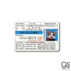 ȂߔL Ƌ05 hg LN^[XebJ[  80N a g ˂ ȂߔLObY LCS1311 gs  XebJ[