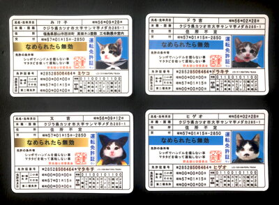 楽天市場 なめ猫 免許証02 又吉 キャラクターステッカー 懐かし 80年代 なめ猫グッズ Lcs1308 Gs 公式 ステッカー ゼネラルステッカー