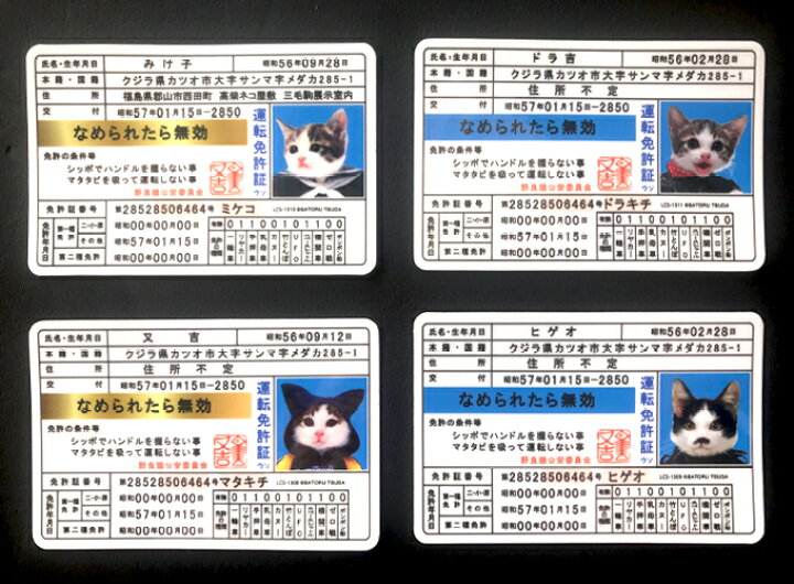 楽天市場 なめ猫 免許証05 ドラ吉 キャラクターステッカー 懐かし 80年代 なめ猫グッズ Lcs1311 Gs 公式 ステッカー ゼネラルステッカー