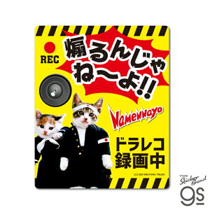 �ȂߔL �h���C�u���R�[�_�[ �X�e�b�J�[ ����񂶂�ˁ`�� �^�撆 �Ȃ߂�Ȃ� LCS839 �� �h�� �h�����R ���a 80�N�� �˂� �O�b�Y