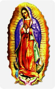 XebJ[ NM060 MARY ~jXebJ[ X}z fR  ObY