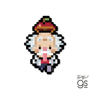 sNZs[XXebJ[ Dr.xKpN LN^[ ONEPIECE CZXi  Aj gs ObY OPX119