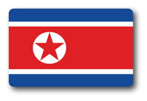 SK223 XebJ[ N NORTH KOREA 100~ s X[cP[X  PC X}z