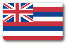 SK236 国旗ステッカー ハワイ HAWAII 100円国旗 旅行 スーツケース 車 PC スマホ