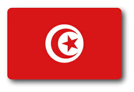 SK367 国旗ステッカー チュニジア TUNISIA 100円国旗 フラッグ 旅行 スーツケース 車 PC スマホ