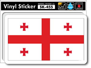 SK455 XebJ[ W[WA GEOGIA   s tbO ڈ X[cP[X  PC X}z