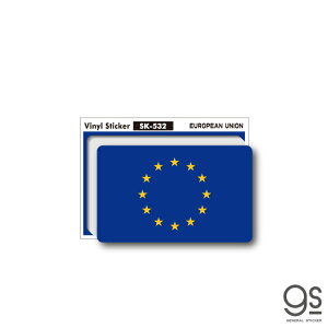 XebJ[ EU BA European Union 100~ s X[cP[X  PC X}z SK532 gs ObY