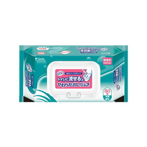 minuhD t gCɗ炩ӂt^t P[X80×12