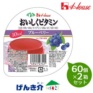 【2箱セット】ハウス おいしくビタミン ブルーベリー60g×60個×2箱セット