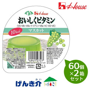 【2箱セット】ハウス おいしくビタミン マスカット60g×60個×2箱セット