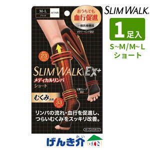 XEH[NEX{ fBJpV[g ubNp S`M / M`LʈË@ eXgbLO̔͏oԍ@29B2X10004000001