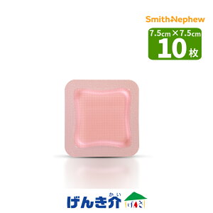 񎟎tH[n핢Eی nChTCg AD WFg 7.5×7.5cm 10 nPA otRg[X~XEAhElt[ n M ጃPAxǗË@F`p