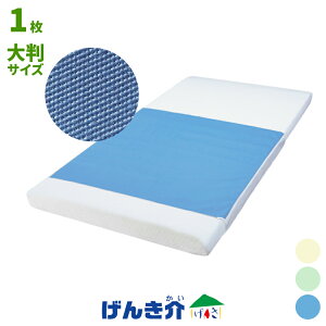 �h���V�[�c �W���^�C�v �f�j���h���V�[�c170cm×110cm �唻�����^�C�v �����z�� �N���[�� �O���[�� �u���[ �唻�T�C�Y �傫��1�� W9451