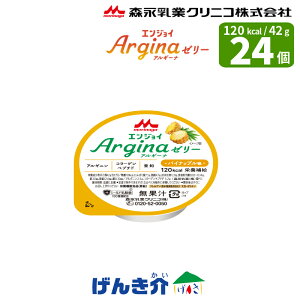 XiNjR GWCAM[i[[ pCibv 42g×24GWCArgina[[ Xi Xi NjRʍJ[ h{⏕ AMjR[Qyv`h  S H 