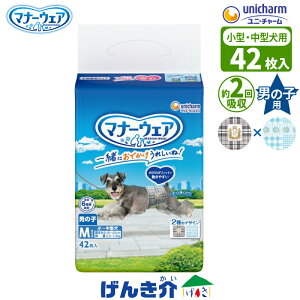 ybgp jE`[ }i[EFAj̎qp MTCY ^`^p40`45cm ̏d5.5`7.5kgŒ6 IVbR2 z 42gbheCXg