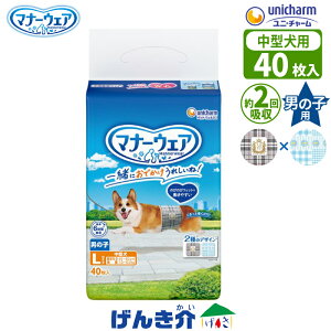 ybgp jE`[ }i[EFAj̎qp LTCY ^p45`50cm ̏d7.0`10.5kgŒ6 IVbR2 z 40gbheCXg