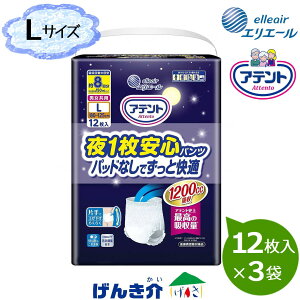 [i] GG[ Aeg 1SpcpbhȂłƉK jp LTCY 1P[X(12×3) W875663