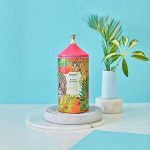 y11/15 |Cg5{zMtg   v[g NEWBY j[r[ GL]`bNA[OC / [t(t)75g CADDY Ԃ CMXg p ސE   CMX uh ̂ 