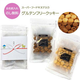 クリスマス【メール便4個まで】【記名のし】グルテンフリー キヌアクッキー パック プレーン チョコ お返し 子供 お菓子 糖質低減 低糖質 ロカボ 米粉 大豆粉 たんぱく質 タンパク質 おやつ スイーツ プチギフト おしゃれ お礼 子供 高知 焼菓子 ビスケット 国産 ソイ