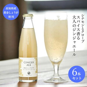 �M�t�g ���������y6�{�Z�b�g�z�������I�̃W���W���[�G�[�� �M�t�g ��y�Y �͂�̃e���X �v���[���g �����i 3000�~ 4000�~ �X�^�W�I�I�J���� ���m���Y ���Y ���傤�� �������I �Y�_ �W���[�X ��