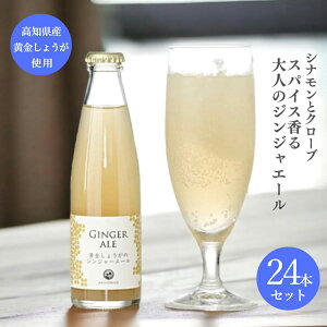 y11 lグ\zMtg 傤̃WW[G[ 24{Zbg Mtg v[g ͂̃eX Y 傤 I Y_W[X JNe x[X WWG[ p[eB[ 