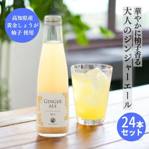 ギフト 送料無料 プレゼント ギフト【24本セット】ジンジャーエール 柚子 ゆず はるのテラス 高知県産 国産 しょうが 生姜 炭酸ジュース 大人向け ノンアルコール ゆず ユズ かんきつ類 柑橘