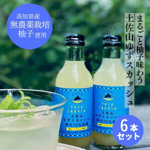 hV̓ Mtg  v[g Mtgy6{ZbgzyR䂸XJbV MTCY200ml v[g  ̂ YnƂ MtgZbg k Mq mY Y 傤 