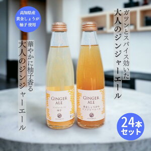 y9/30 |Cg5{zMtg y24{Zbgze12{ 傤̃WW[G[ WW[G[ Mq v[g Mtg ͂̃eX Y I Y_W[X l 䂸 