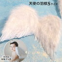 本物 天使の羽根 Sサイズ 乳幼児〜小学校低学年 クリスマス 仮装 幼稚園児 小学生 子供 ブライダル ウェディング 結婚式 パーティー コスチューム 仮装 イベント フラワーガール ベビーフォト 演出 撮影 記念写真 スタジオ ハーフバースデー
