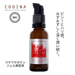 CODINA RfBi E`T{eWF 30mL bR RX 킳ڂĂ E`T{eIC ICe bR WFet ڌ  ߂񂶂 r^~E ێ XLPA 
